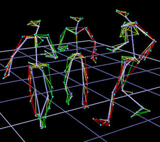 Vicon Motion Capture Data