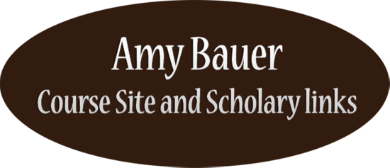 Amy Bauer, Course Site and Scholarly links
