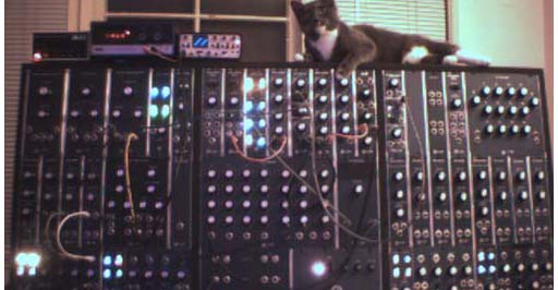 Moog Synthesizer + Critic